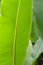 Similar image 7977168