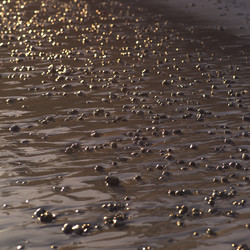 Similar image 7977175