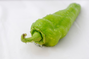 Similar image 7977179