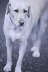 Similar image 7977182