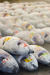 Similar image 7977183