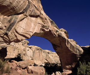 Similar image 7977187