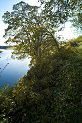 Similar image 7977189