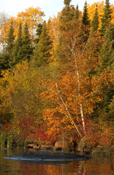 Similar image 7977193