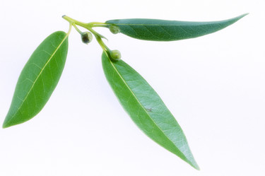 Similar image 7977196