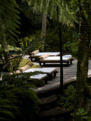 Similar image 7977200