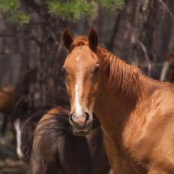 Similar image 7977202