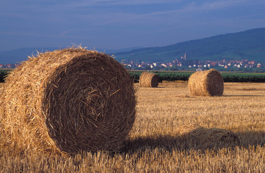 Similar image 7977205