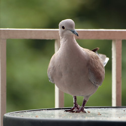 Similar image 7977217