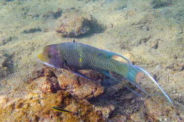 Similar image 7977218