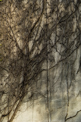 Similar image 7977219