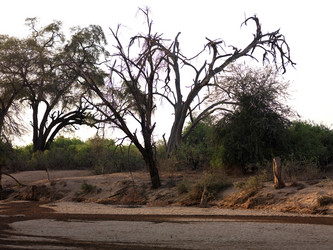 Similar image 7977233