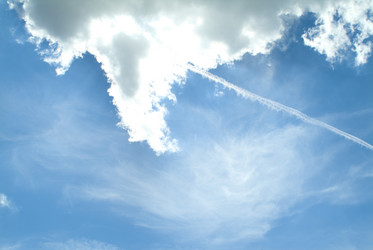 Similar image 7977235