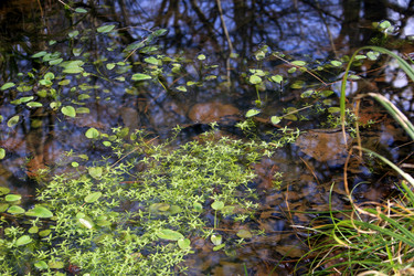 Similar image 7977239