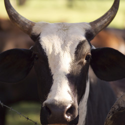 Similar image 7977245