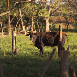 Similar image 7977249