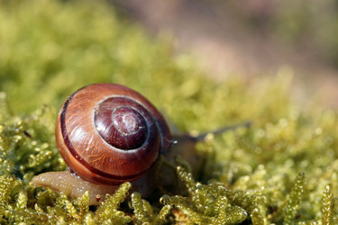 Similar image 7977271