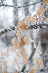 Similar image 7977278