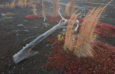 Similar image 7977284