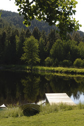 Similar image 7977288