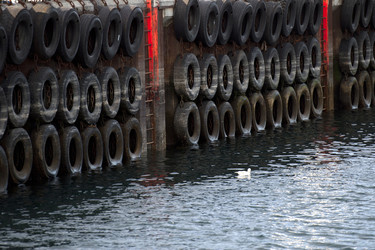 Similar image 7977289