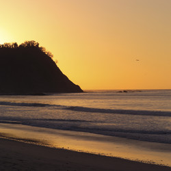 Similar image 7977296