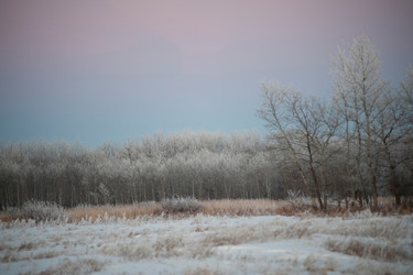 Similar image 7977297