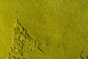 Similar image 7977313