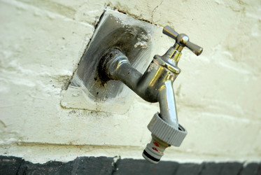 Similar image 7977325