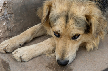 Similar image 7977331