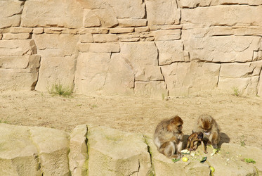 Similar image 7977335