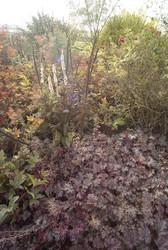 Similar image 7977342