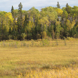 Similar image 7977353