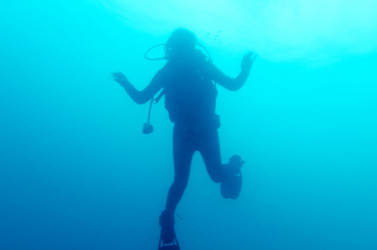 Similar image 7977361