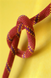 Similar image 7977363