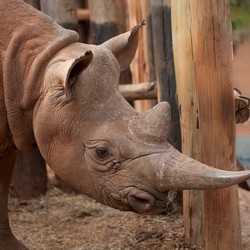 Similar image 7977365