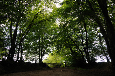 Similar image 7977367