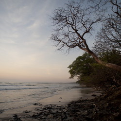 Similar image 7977456