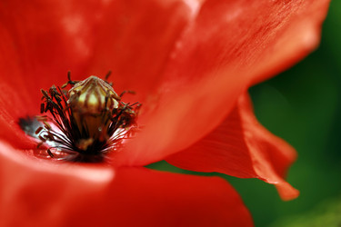 Similar image 7977460