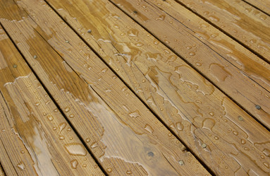 Similar image 7977463