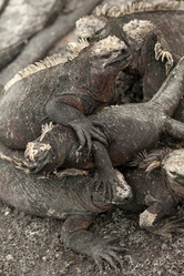 Similar image 7977466