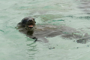 Similar image 7977489