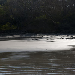 Similar image 7977491