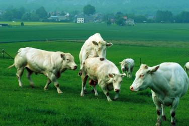 Similar image 7977510