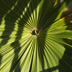 Similar image 7977512