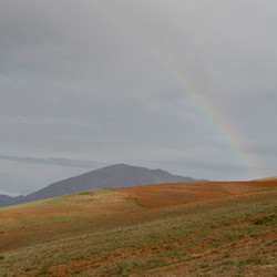 Similar image 7977515