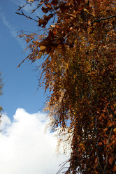 Similar image 7977519