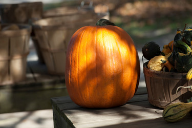 Similar image 7977522