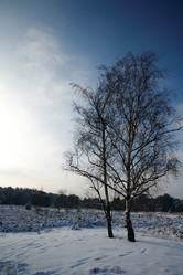 Similar image 7977529