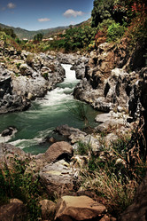 Similar image 7977530